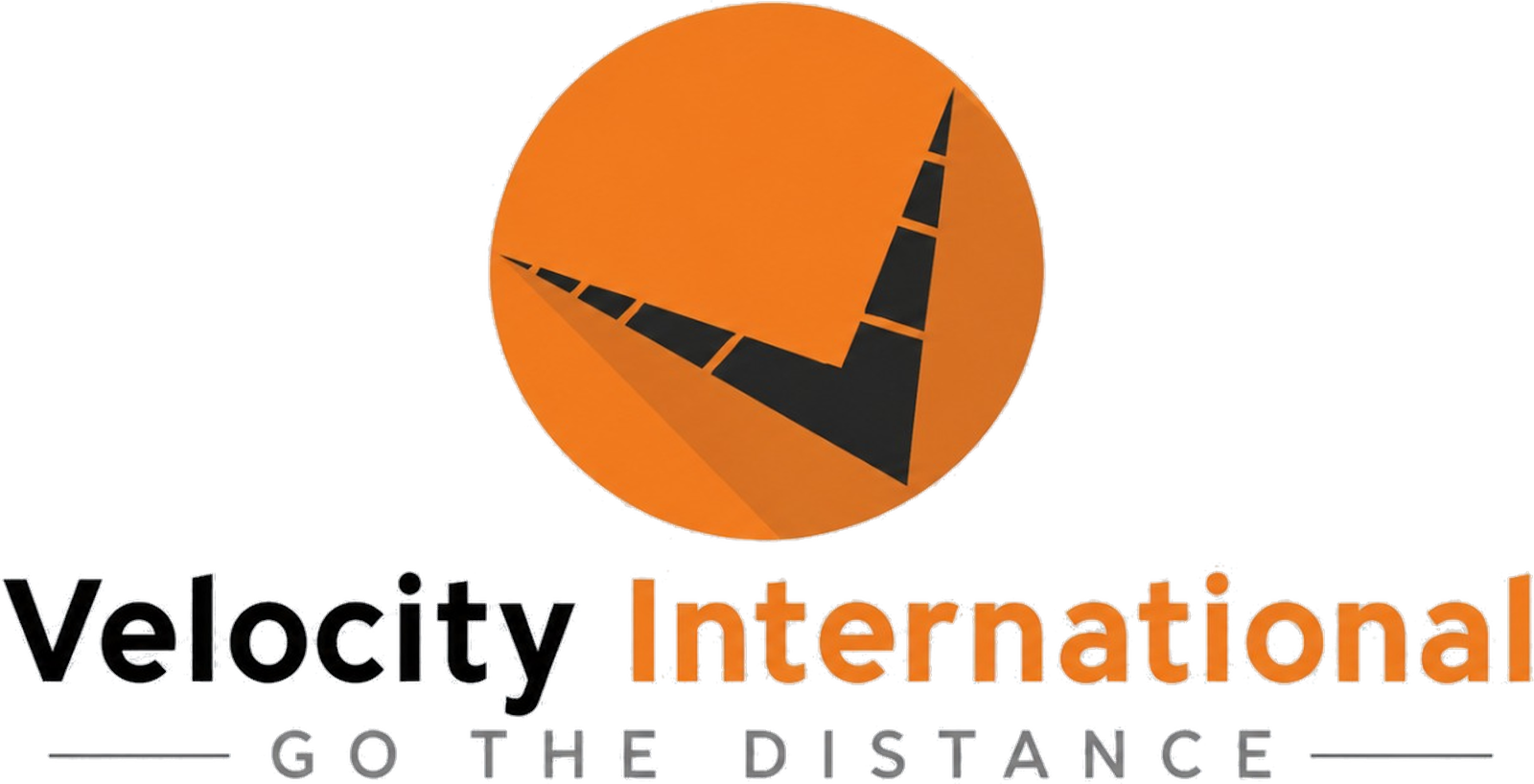 Velocity International